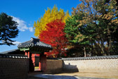 Südkorea - Seoul - Jongmyo Shrine | 95/100