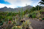 Spanien - San Nicolas - Cactualdea Park | 38/80