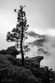 Spanien - Vega de San Mateo - Pico de las Nieves | 54/80