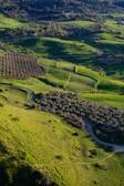 Spanien - Ronda - Ronda Countryside | 130/165