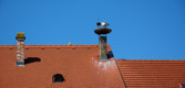 Österreich - Burgenland - Rust | 3/10