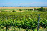 Österreich - Burgenland - Rust | 5/10
