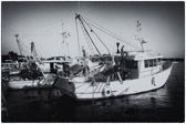 Kroatien - Poreč - Hafen | 31/70