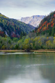 Steiermark - Gemeinde Turnau | 11/18