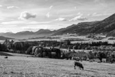 Steiermark - Aflenz - Erdfunkstelle | 12/18