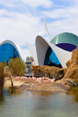 Spanien - València - Ciutat de les Arts i les Ciències - Oceanogràfic | 3/70