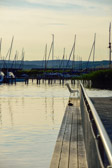 Österreich - Neusiedl am See - Mole West | 11/15
