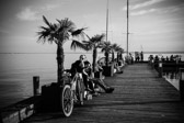 Österreich - Neusiedl am See - Mole West | 12/15