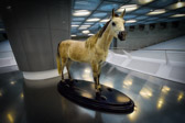 Deutschland - Stuttgart - Wilhelm II - Ich glaube an das Pferd. Das Automobil ist eine vorübergehende Erscheinung. | 4/40