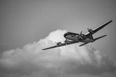 DSC_0106.jpg