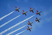 DSC_0235.jpg
