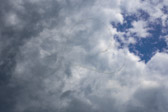 DSC_0265.jpg