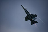 DSC_0467.jpg