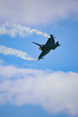 DSC_0532.jpg