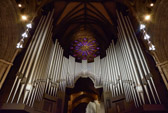 Nidarosdom Organ | 15/45