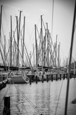 Ungarn - Balatonfüred - Balaton | 6/30