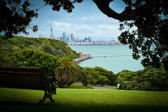 Neuseeland - Auckland - Auckland View from Michael Savage Memorial | 16/130