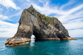 Neuseeland - Bay of Islands - Motukokako Island | 27/130