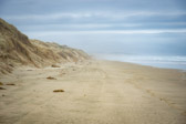 Neuseeland - Waipapakauri - Ninety Mile Beach | 33/130