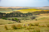 Neuseeland - Cape Reinga - Te Hapua Landscape | 39/130
