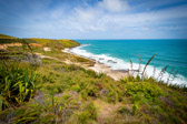 Neuseeland - Omapere - Arai te Uru Nature Reserve | 48/130