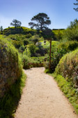 Neuseeland - Matamata - Hobbiton Movie Set | 52/130