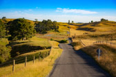 Neuseeland - Matamata - Countryside @Sunset | 58/130