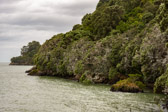 Neuseeland - Coromandel Town - Coromandel Peninsula Coast | 63/130