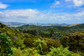 Neuseeland - Coromandel - View from Driving Creek Railway | 65/130