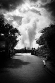 Neuseeland - Rotorua - Pōhutu Geyser | 79/130