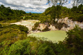 Neuseeland - Reporoa - Wai-O-Tapu Thermal Wonderland | 86/130