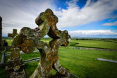 Ireland - Cashel - Rock of Cashel Thomb | 16/100