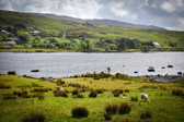Ireland - Galway - Lough Bofin | 46/100