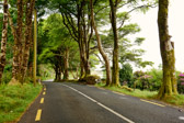 Ireland - Galway - Road to Cennemara Nationalpark | 50/100
