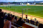 Ireland - Galway - Greyhound Dog Race | 66/100