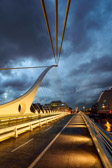 Ireland - Dublin - Samuel Beckett Bridge | 98/100