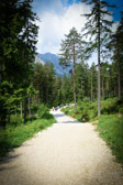 Österreich - Tragöß - Walking path to "Grüner See" | 2/15
