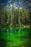 Österreich - Tragöß - Grüner See | 6/15