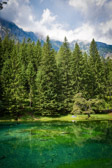 Österreich - Tragöß - Grüner See | 7/15