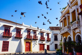 Kolumbien - Cartagena - Plaza de La Aduana | 48/115