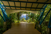 Costa Rica - Limón - Veragua Rainforest | 77/115