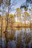 Estland - Kolga - Lahemaa Nationalpark | 23/100