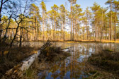 Estland - Kolga - Lahemaa Nationalpark | 24/100