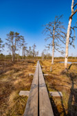 Estland - Kolga - Lahemaa Nationalpark | 29/100