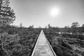 Estland - Kolga - Lahemaa Nationalpark | 30/100