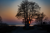 Estland - Ihasalu - Ihasalu beach sunset | 37/100