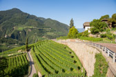 Italien - Bozen - Oberleitach | 15/50