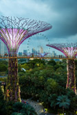 Singapur - Marina Bay - Supertree Grove | 30/45