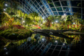 Singapur - Marina Bay - Cloud Forest | 34/45