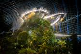 Singapur - Marina Bay - Cloud Forest | 35/45